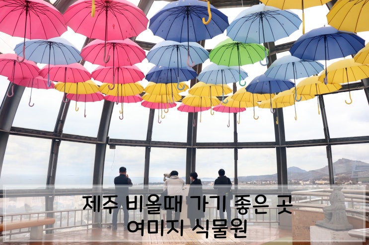 제주 아이와 비올때 가기 좋은 곳, 여미지식물원
