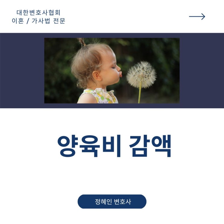  양육비 감액