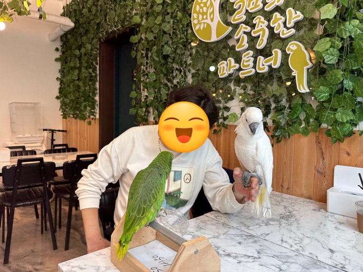  앵무새 카페 리프패럿 전농점 | 서울 이색 카페 추천: 서울/전농동