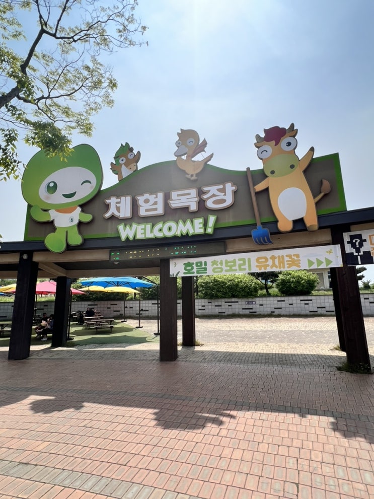  안성 팜랜드 아이 넷과 함께, 예쁜 사진스팟 많아요