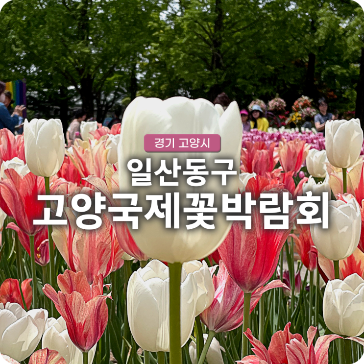 2023 고양국제꽃박람회 방문 후기와 기본정보(입장료, 주차장)
