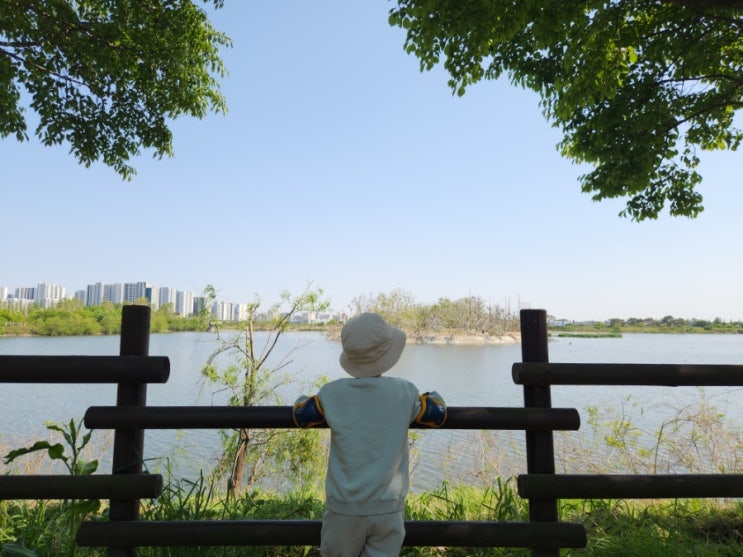  수원 서호공원 도심 속 숨겨진 호수공원 (자전거 타고 피크닉하기 좋아요)