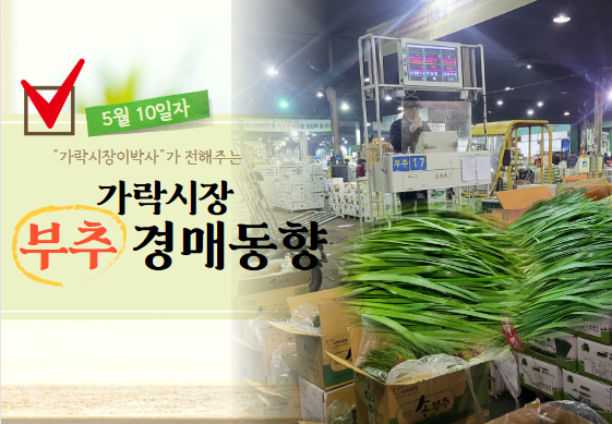  [경매사 일일보고] 5월 10일자 가락시장 부추 경매동향을 살펴보겠습니다!