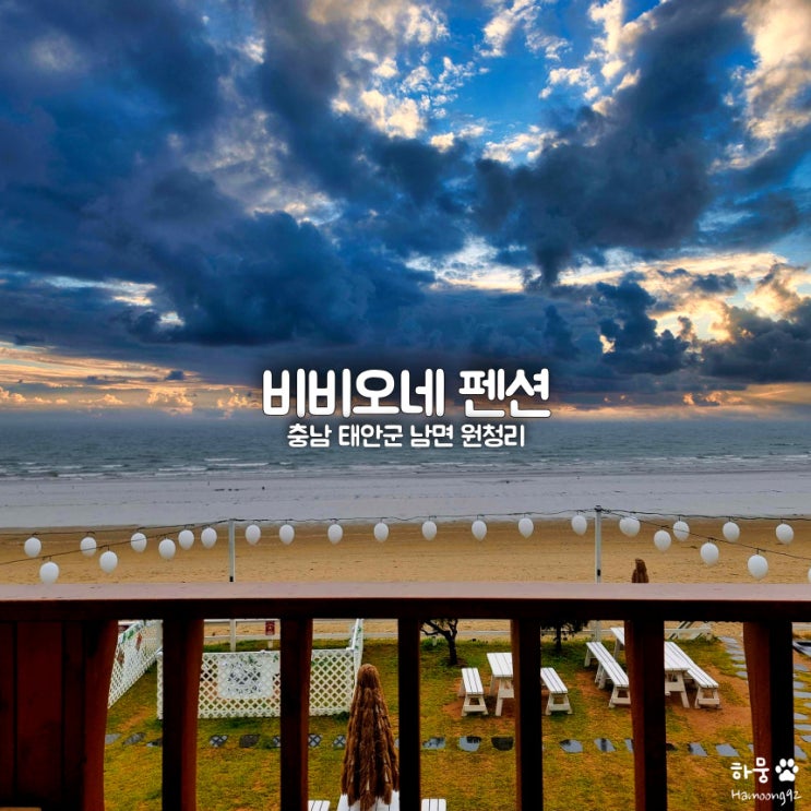  충남 태안 안면도 펜션 비비오네, 바닷가 수영장 신축숙소