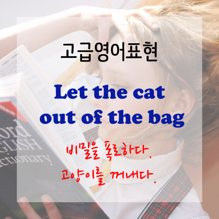  [고급영어표현] let the cat out of the bag ~ 비밀을 폭로하다