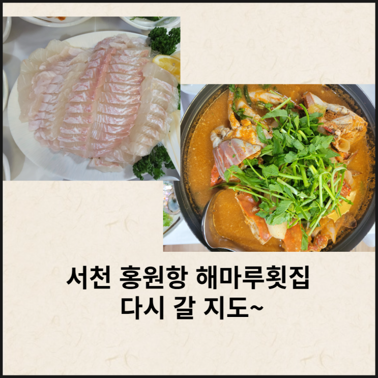  서천 홍원항 해마루횟집 꽃게 자연산 광어회
