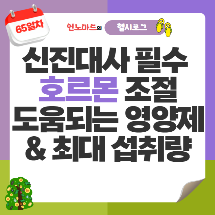  65일차, 신진대사에 필요한 호르몬 조절에 도움되는 영양제 및 최대 일일 섭취량