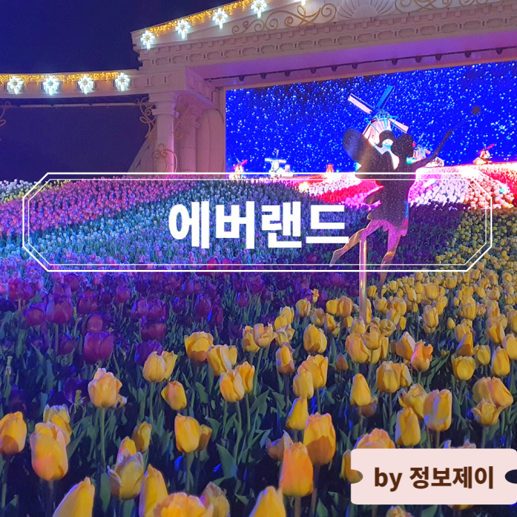  에버랜드 할인 팁 및 내부 음식점 후기