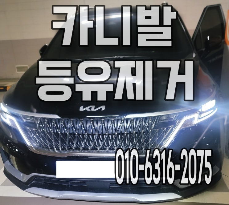  하남세차 카니발 자동차 등유제거 내장재 가죽 시트 분리 세척
