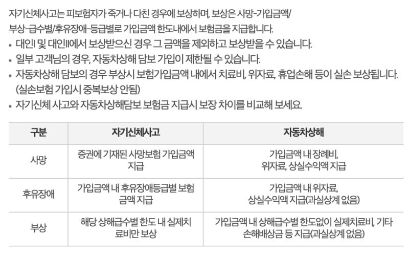 자동차 보험 자손과 자상 차이, 2023년 기준
