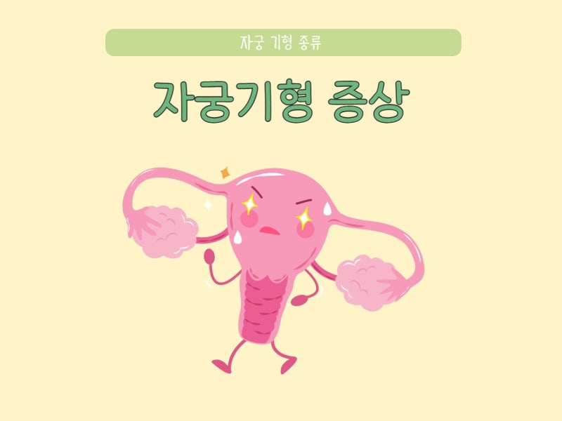 자궁기형 종류(중복, 쌍각, 중격, 단강, 궁형) 여성 난임 원인 증상(자궁2개) : 네이버 블로그
