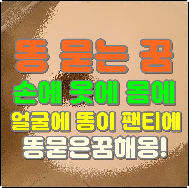 똥 묻는 꿈 손에 옷에 몸에 얼굴에 똥이 팬티에 똥 묻은 꿈해몽 봐요!