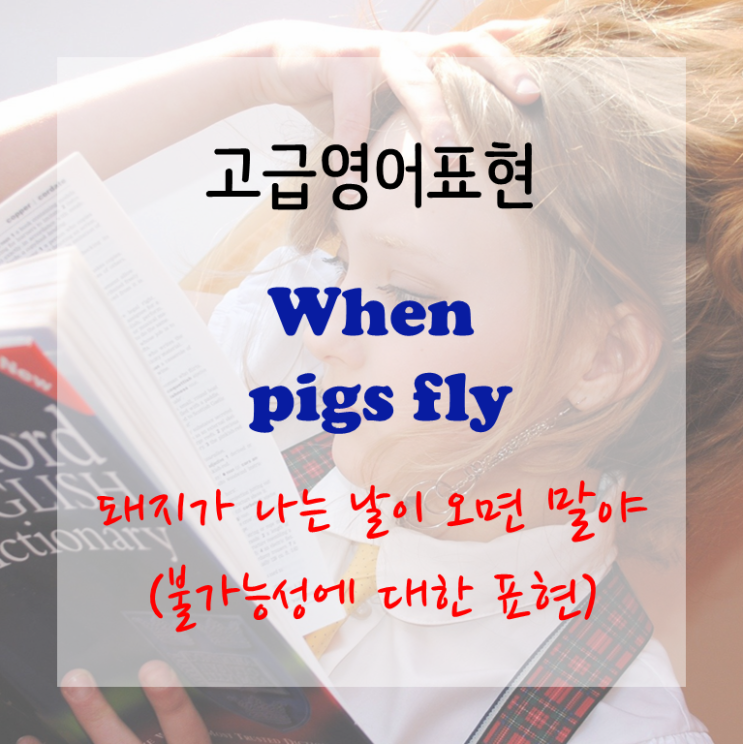  [고급영어표현] When pigs fly - 돼지가 나는 날이 오면 말야 (불가능성에 대한 표현)