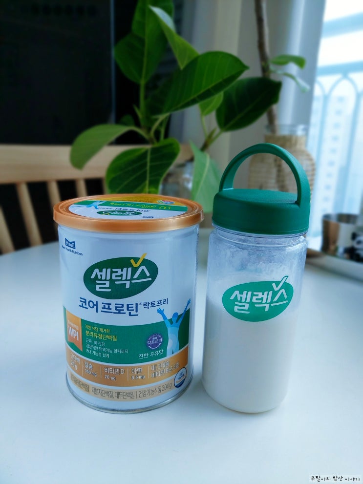  셀렉스 코어프로틴 락토프리 분리유청단백질추천 6주 후기