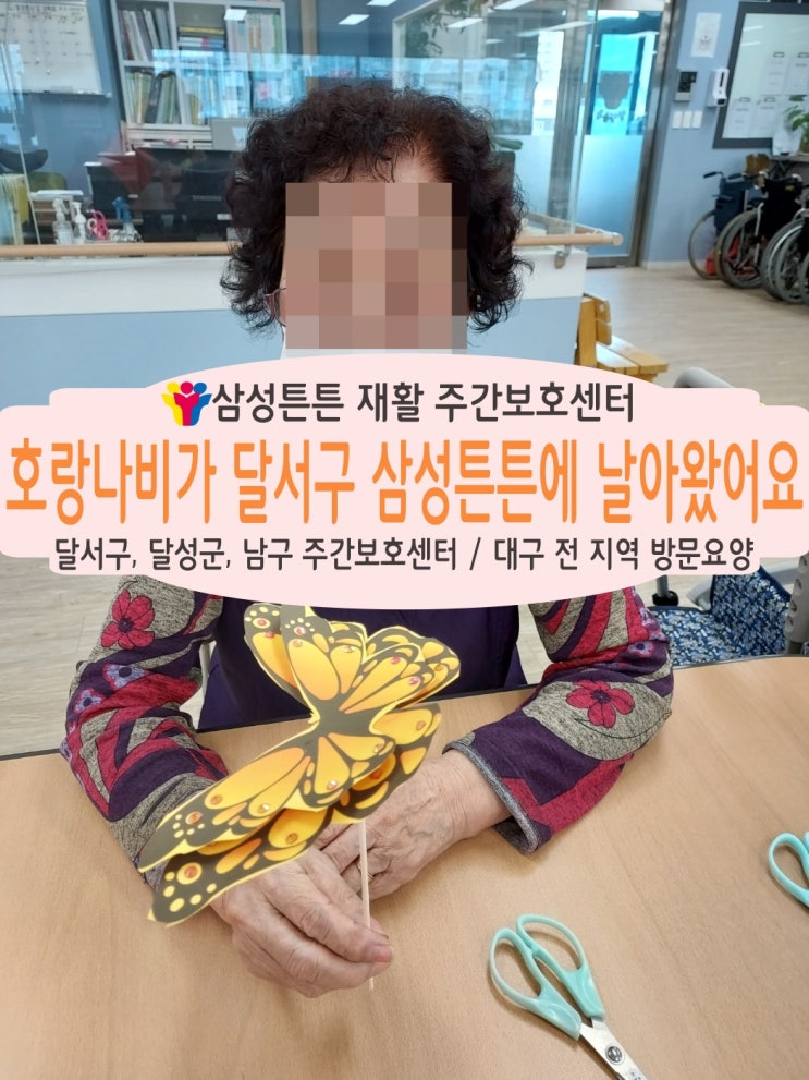  호랑나비가 달서구 삼성튼튼 주간보호센터에 날라다녀요