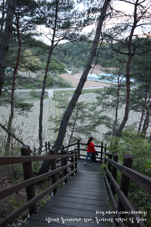  영주 무섬마을 2/2 - 고택에서 보낸 하룻밤으로 깨달은 고요함과 고즈넉함의 차이