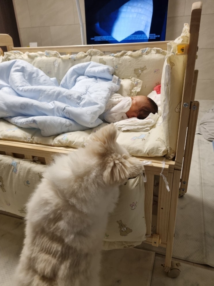 산후조리원가기? 집에서 산후조리하기? 산후조리원가기? 집에서 산후조리하기?