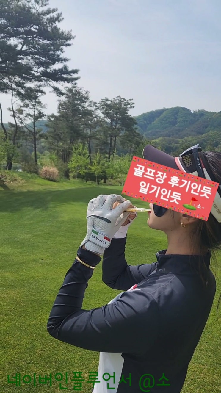  어디서든 간편하게 섭취가능한 천연벌꿀 스틱 골프간식 추천(BEEDAM 아카시아 허니스틱)
