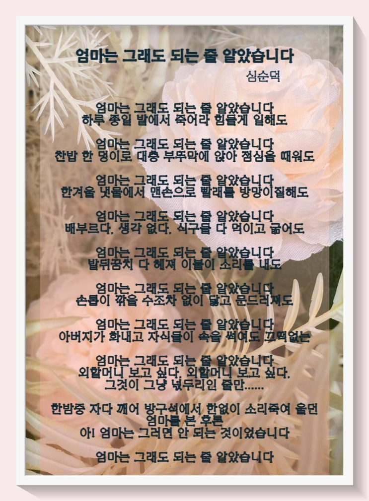  감동시 하나 심순덕 엄마는 그래도 되는 줄 알았습니다.