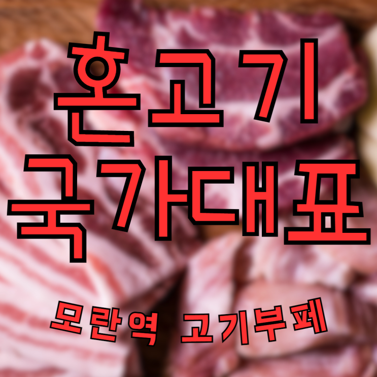  무기력증 타파 영양 보충 고기!!! 혼고기 국가대표 도전!!! feat. 모란역 고기뷔페