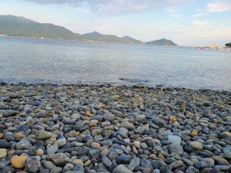  보강토 옹벽 유지관리 체크리스트(보강토설계, 식생옹벽 구조계산서