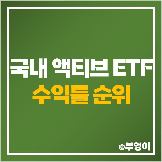 국내 액티브 ETF 수익률 순위 국내 액티브 ETF 수익률 순위
