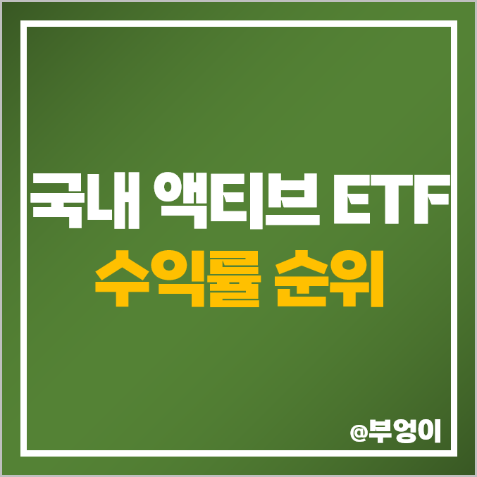 국내 액티브 ETF 수익률 순위