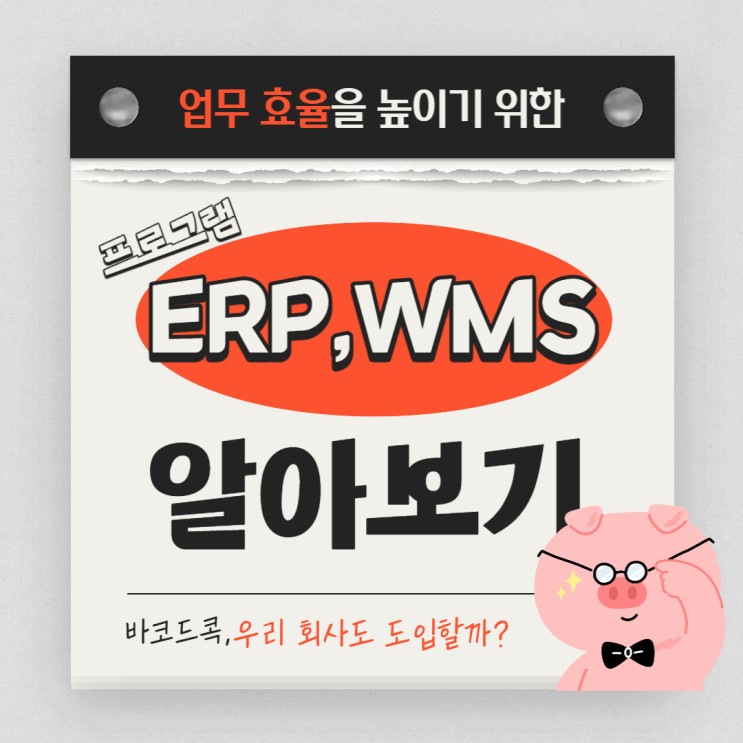 ERP, WMS 프로그램 도입 전 꼭 체크해야 할 부분은?