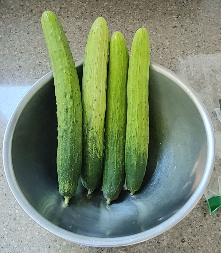  오이무침  도전하기
