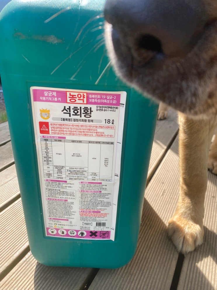유기농 감귤 석회유황합제 살포 유기농 감귤 석회유황합제 살포