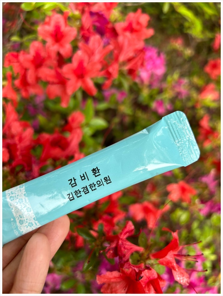  분당다이어트한의원 식욕억제를 돕는 환도 처방해 드립니다.