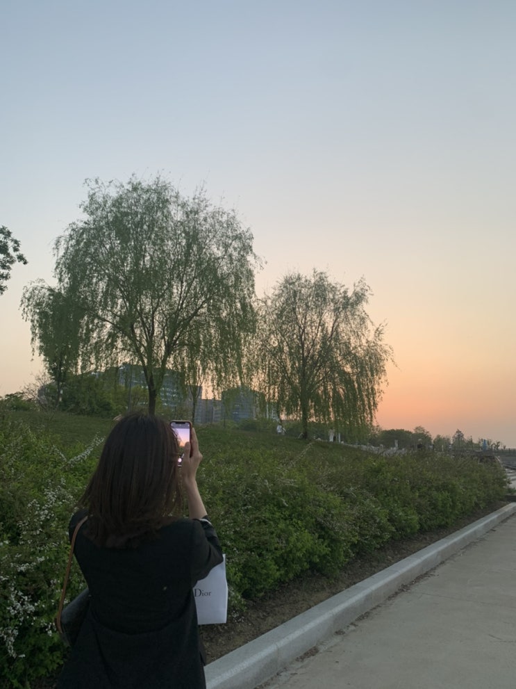  좋은 밤 좋은 꿈 안녕
