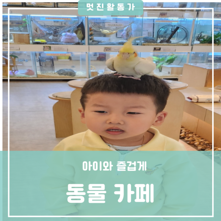 이색 동물카페 아이와 가볼만한 곳 대전 서구 동물체험카페 마리앤쥬 이색 동물카페 아이와 가볼만한 곳 대전 서구 동물체험카페 마리앤쥬