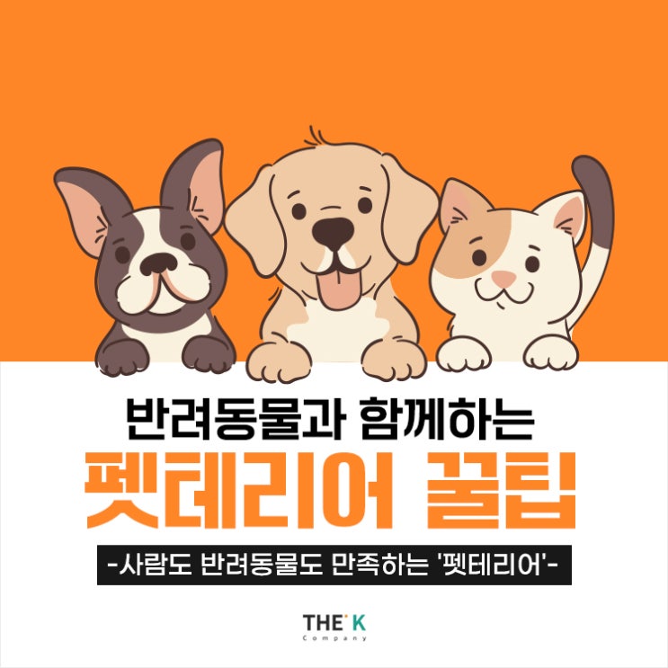  반려동물 인테리어 고양이 강아지 펫테리어 꿀팁 알아보기!