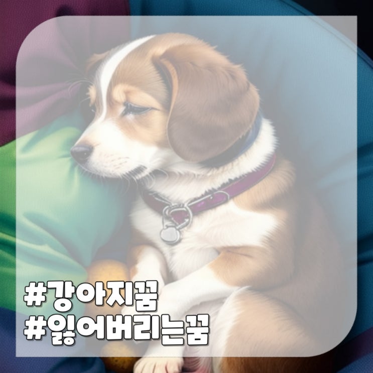  강아지 나오는 꿈해몽,잃어버리는 개꿈 의미
