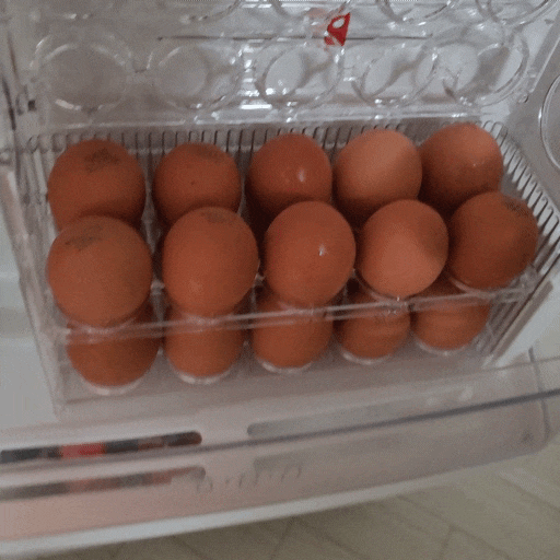 냉장고정리, 일단 계란보관함 하나 장만해보면 후회안함