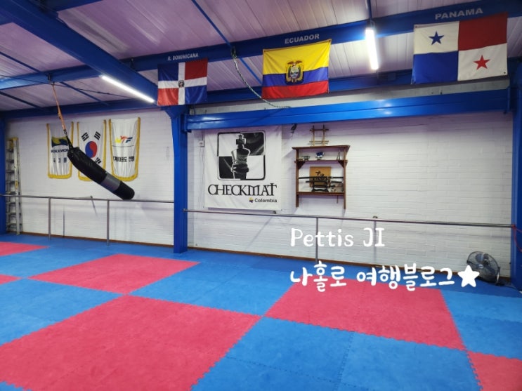  콜롬비아 메데진 주짓수 기술 기록 #1