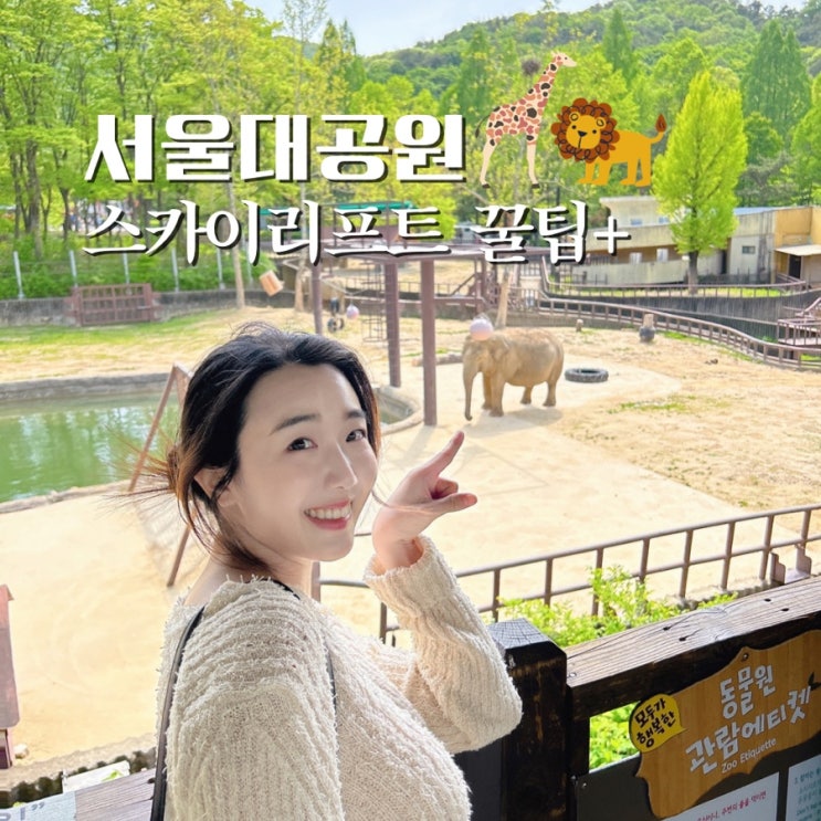 서울대공원 리프트 패키지 가격 유모차, 동물원 입장료 꿀팁 코스 알려드려요