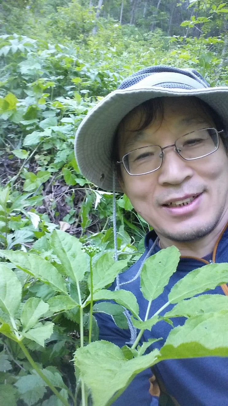  산삼 이야기1