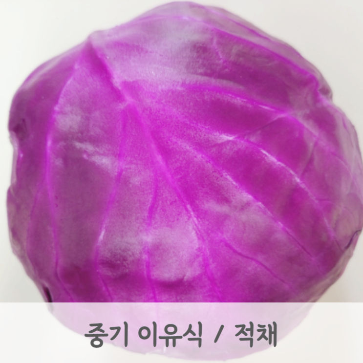 [중기이유식] 적채 큐브 만드는 방법 (적채 토핑, 토핑이유식, 베이비무브)