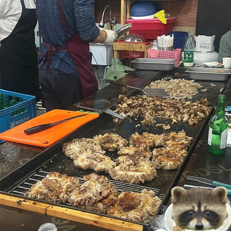  모란시장 돼지부속 무한리필 '은행동집' 도래창 존맛! 막창 같은 맛, 쌍둥이네 비교 위치 상세후기