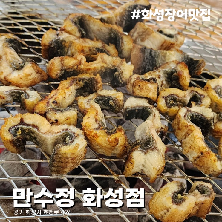  [화성/융건릉맛집] 안녕동 풍천민물장어맛집 만수정 화성점 내돈내산 후기