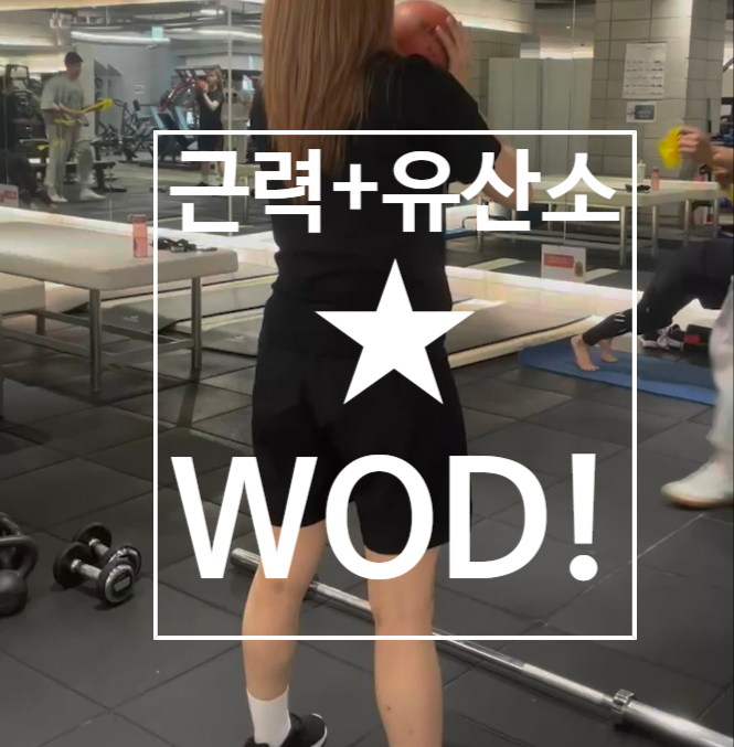  [탄현 헬스][탄현 헬스장][탄현 pt] WOD 운동으로 근력과 유산소를 동시에 
