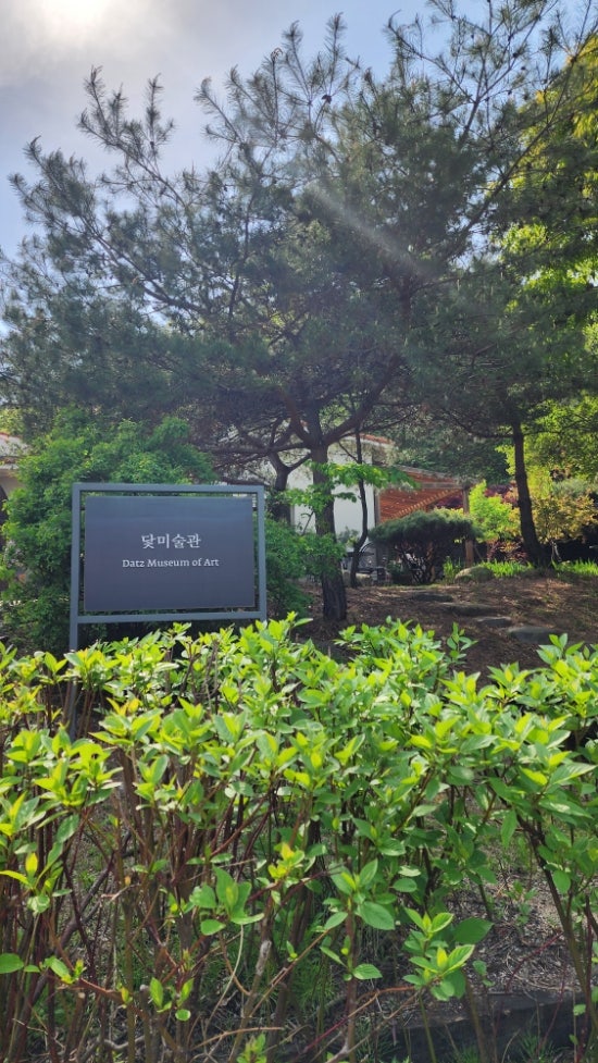  경기도 광주 닻미술관 돛카페 아이와 가기 좋은 곳