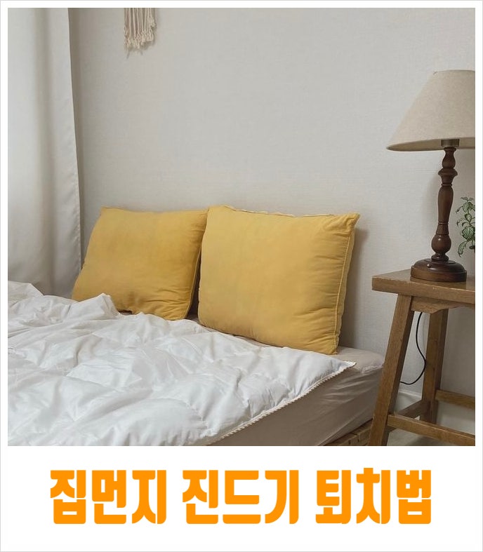  집먼지 진드기 없애는법 알레르기 증상 줄이는 퇴치법