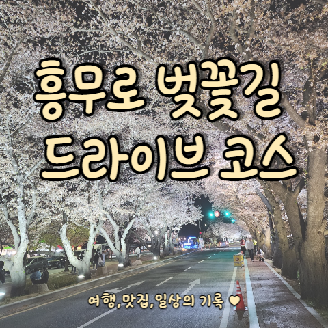  [경주 야경 3] 흥무로 벚꽃길~김유신 장군묘 주차장, 야시장(feat. 벚꽃 명소) 가는 길, 주차정보