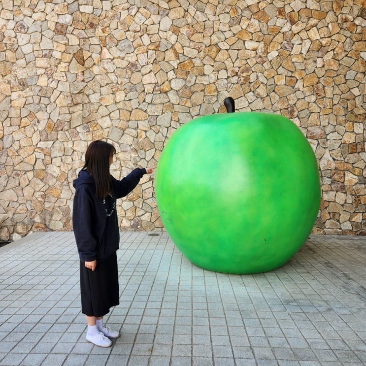  [강원도] 바다도 보고 산도 보는1박2일 동해, 강릉 여행기