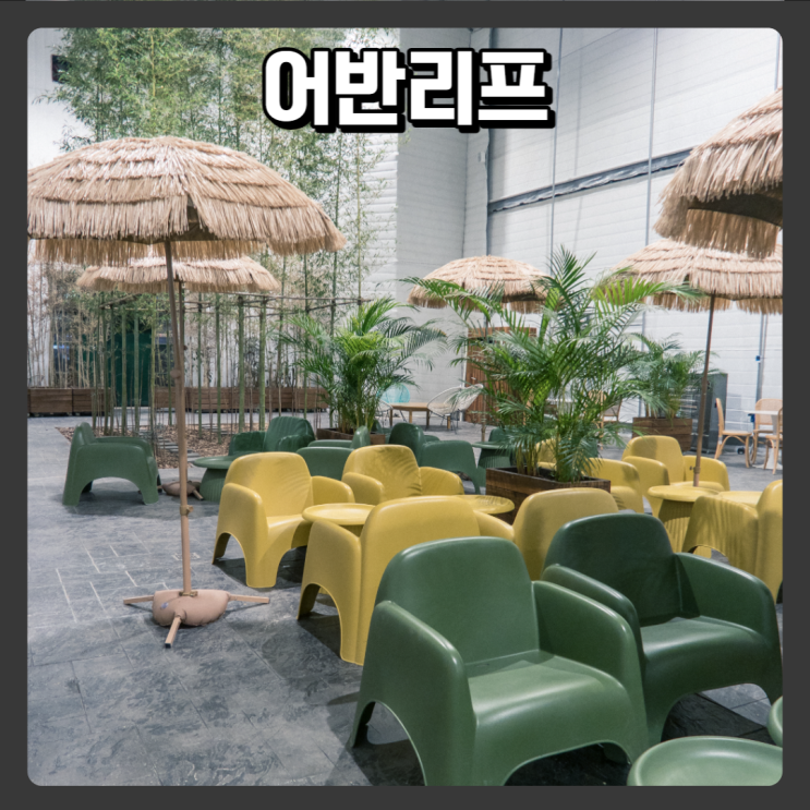  경기 용인 아이와 같이가기 좋은 실내 카페 - 어반리프