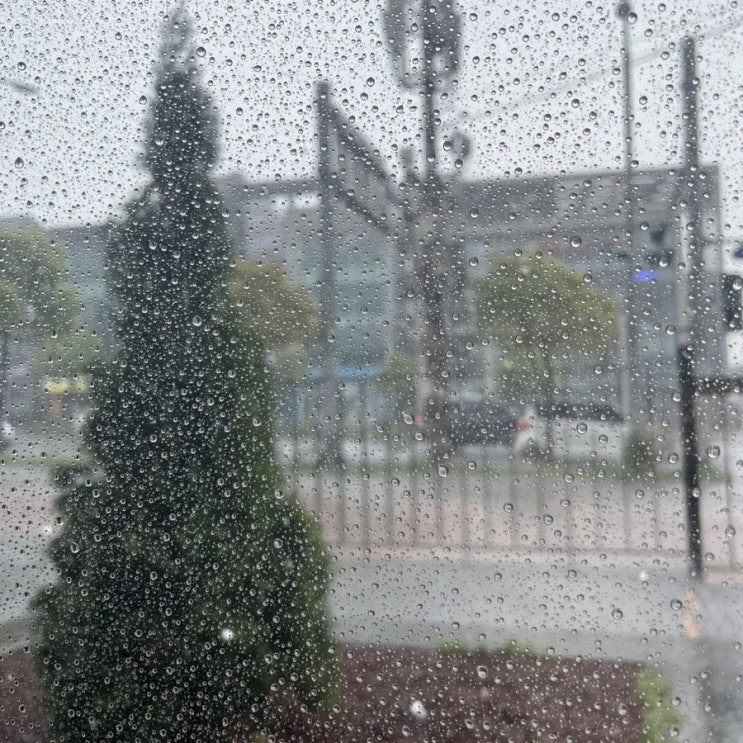  제주에서의 근황