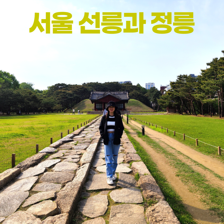 서울 선릉과 정릉 조선왕릉 세계유산 소박한 아름다움 서울 선릉과 정릉 조선왕릉 세계유산 소박한 아름다움